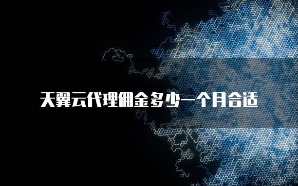 天翼云代理佣金多少一个月合适
