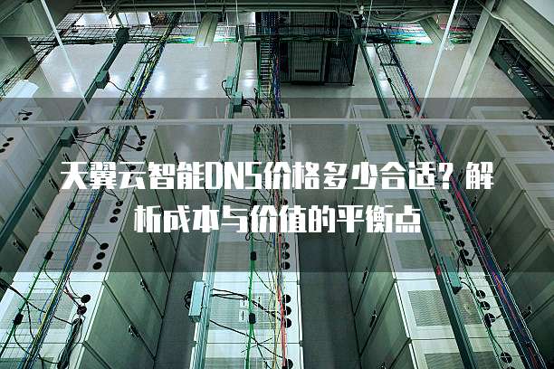 天翼云智能DNS价格多少合适?解析成本与价值的平衡点