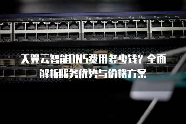天翼云智能DNS费用多少钱？全面解析服务优势与价格方案
