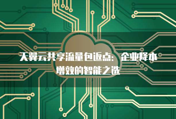 天翼云共享流量包返点:企业降本增效的智能之选
