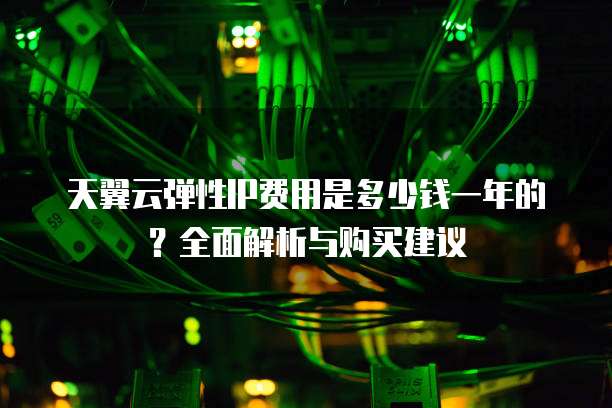 天翼云弹性IP费用是多少钱一年的?全面解析与购买建议
