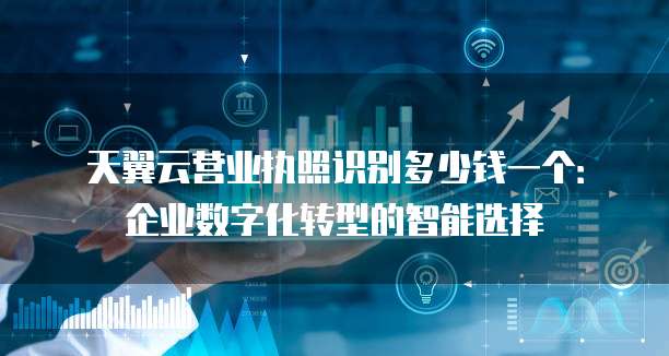 天翼云营业执照识别多少钱一个：企业数字化转型的智能选择