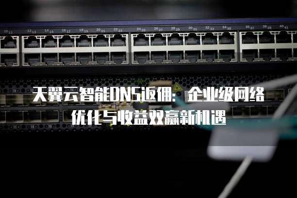 天翼云智能DNS返佣：企业级网络优化与收益双赢新机遇