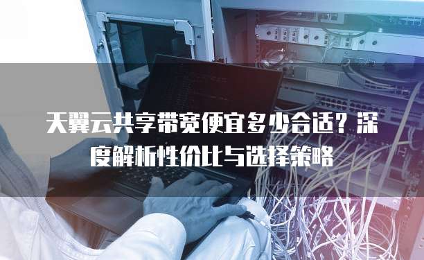 天翼云共享带宽便宜多少合适?深度解析性价比与选择策略