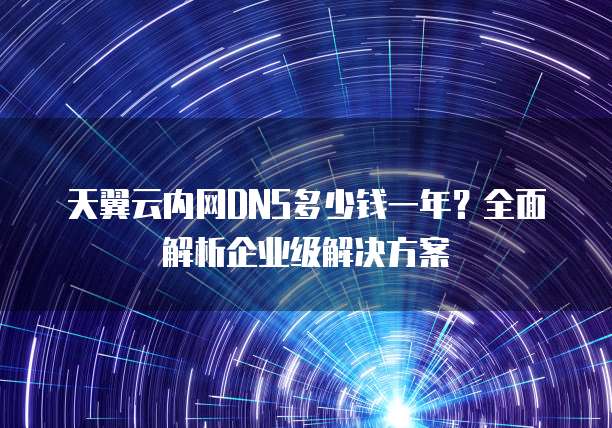 天翼云内网DNS多少钱一年?全面解析企业级解决方案