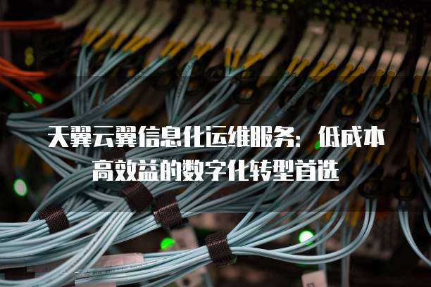 天翼云翼信息化运维服务:低成本高效益的数字化转型首选