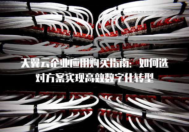 天翼云企业应用购买指南:如何选对方案实现高效数字化转型