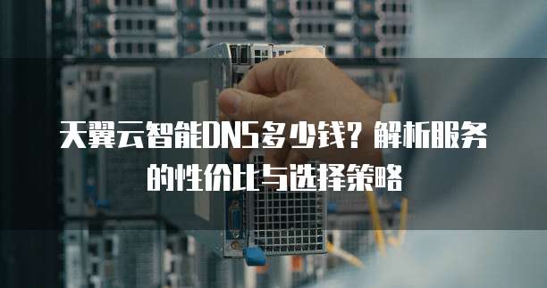 天翼云智能DNS多少钱?解析服务的性价比与选择策略