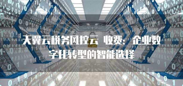 天翼云税务风控云 收费：企业数字化转型的智能选择