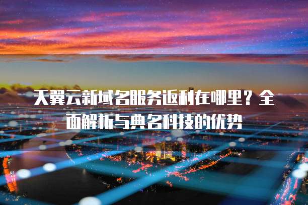 天翼云新域名服务返利在哪里?全面解析与典名科技的优势