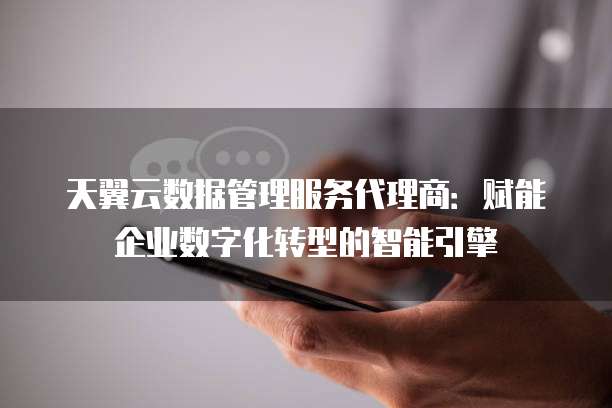 天翼云数据管理服务代理商:赋能企业数字化转型的智能引擎