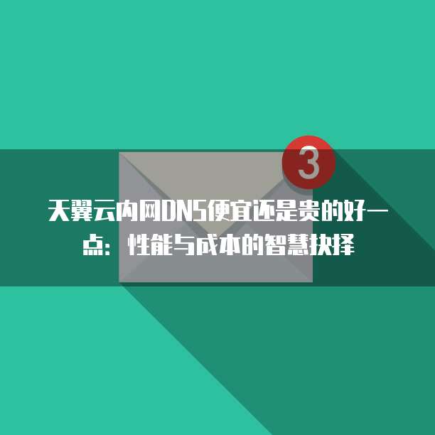 天翼云内网DNS便宜还是贵的好一点:性能与成本的智慧抉择