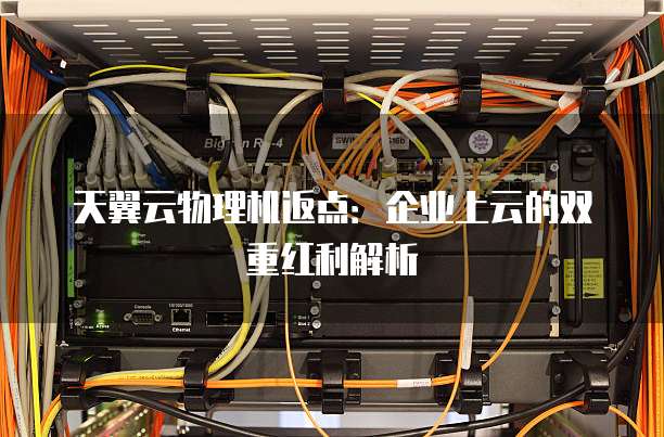 天翼云物理机返点:企业上云的双重红利解析