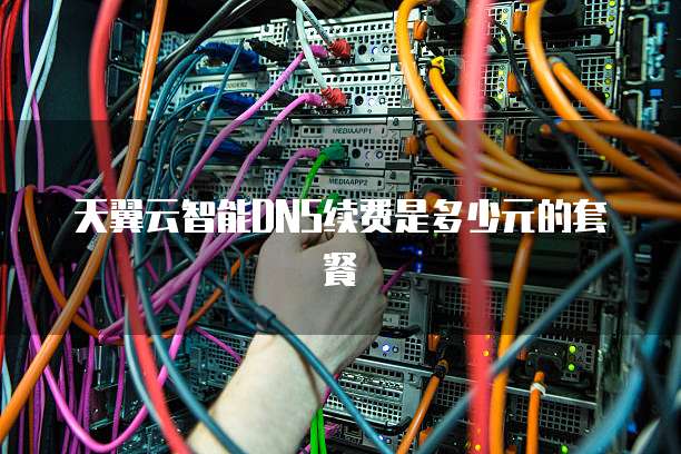 天翼云智能DNS续费是多少元的套餐