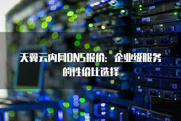 天翼云内网DNS报价：企业级服务的性价比选择