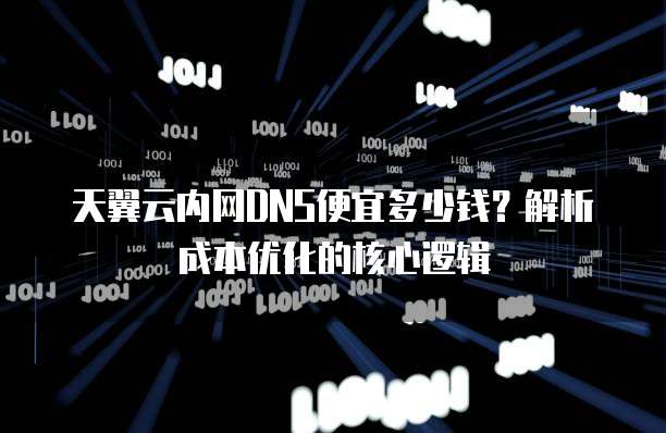 天翼云内网DNS便宜多少钱?解析成本优化的核心逻辑