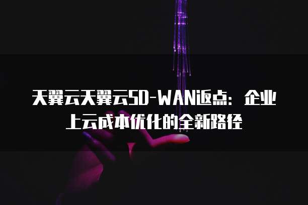 天翼云天翼云SD-WAN返点：企业上云成本优化的全新路径