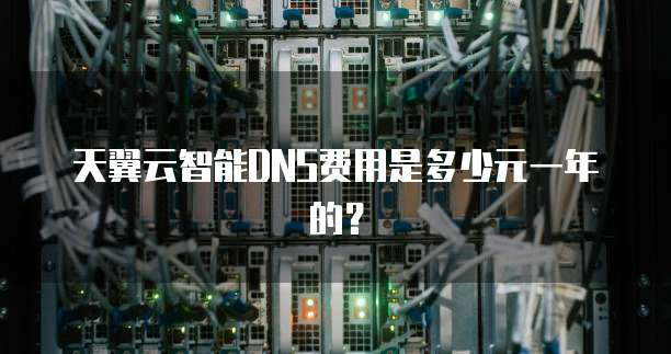 天翼云智能DNS费用是多少元一年的？