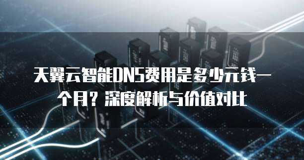 天翼云智能DNS费用是多少元钱一个月?深度解析与价值对比