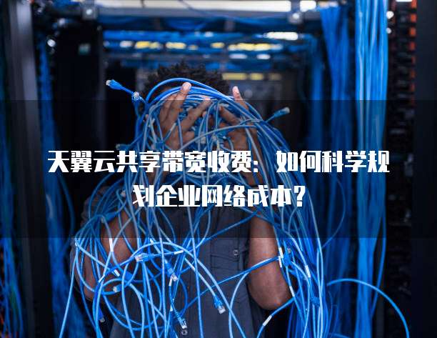 天翼云共享带宽收费:如何科学规划企业网络成本?