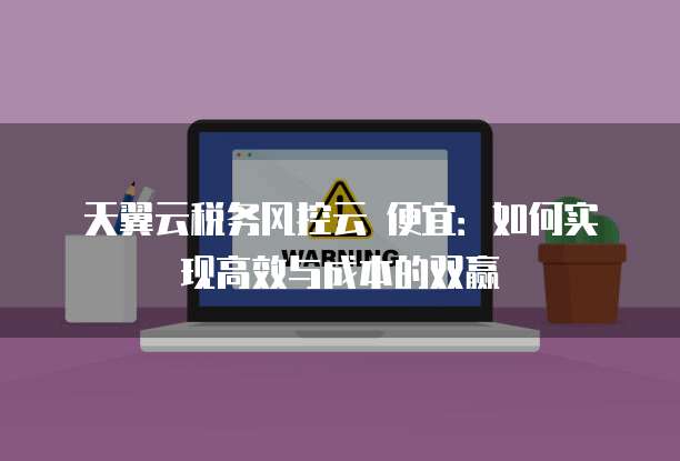 天翼云税务风控云 便宜:如何实现高效与成本的双赢