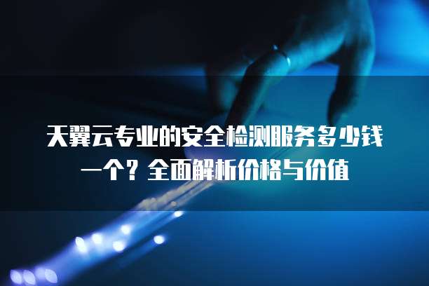 天翼云专业的安全检测服务多少钱一个？全面解析价格与价值