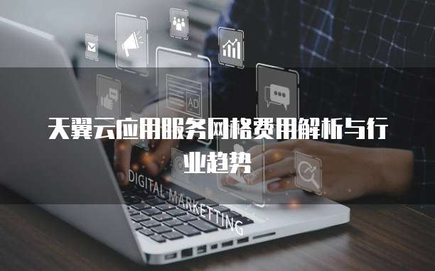 天翼云应用服务网格费用解析与行业趋势