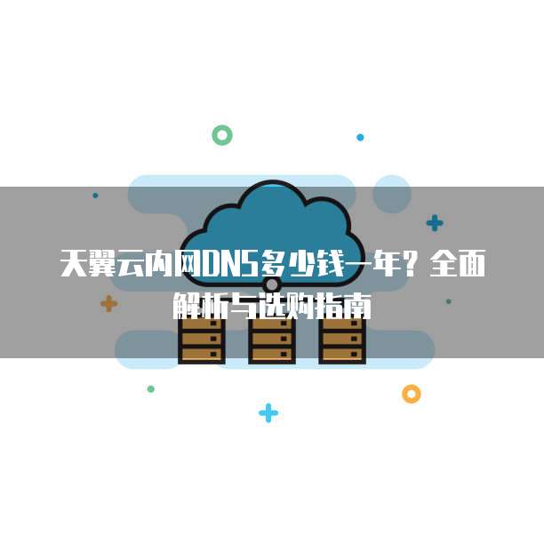 天翼云内网DNS多少钱一年?全面解析与选购指南
