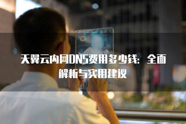 天翼云内网DNS费用多少钱：全面解析与实用建议