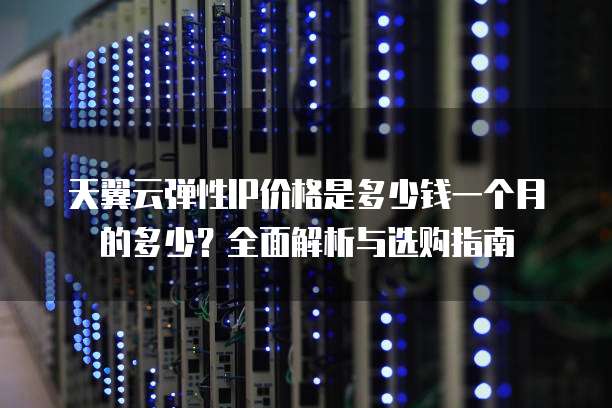 天翼云弹性IP价格是多少钱一个月的多少?全面解析与选购指南