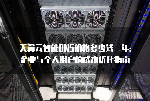 天翼云智能DNS价格多少钱一年:企业与个人用户的成本优化指南