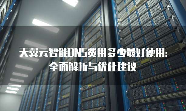 天翼云智能DNS费用多少最好使用:全面解析与优化建议