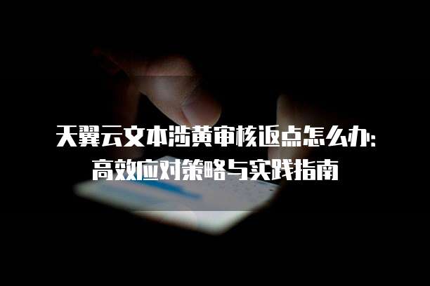 天翼云文本涉黄审核返点怎么办:高效应对策略与实践指南