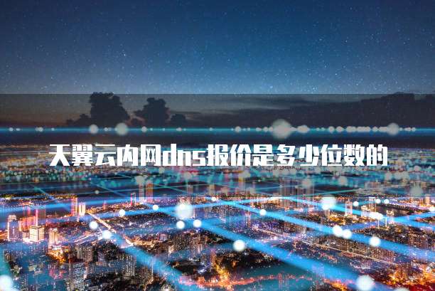 天翼云内网dns报价是多少位数的