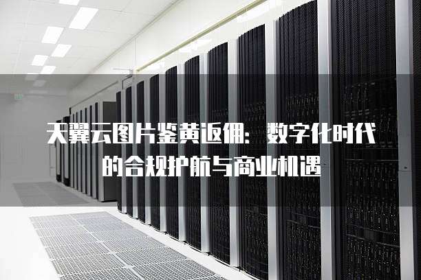 天翼云图片鉴黄返佣:数字化时代的合规护航与商业机遇