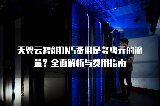 天翼云智能DNS费用是多少元的流量?全面解析与费用指南