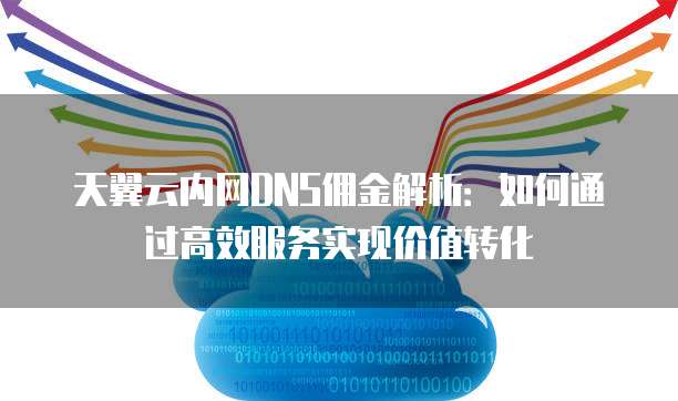 天翼云内网DNS佣金解析:如何通过高效服务实现价值转化