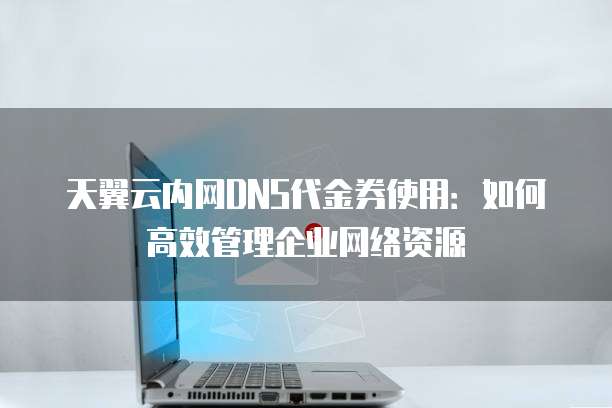 天翼云内网DNS代金券使用:如何高效管理企业网络资源