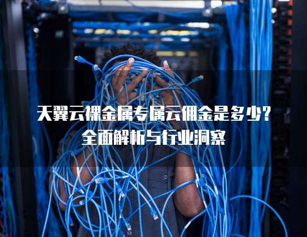 天翼云裸金属专属云佣金是多少？全面解析与行业洞察