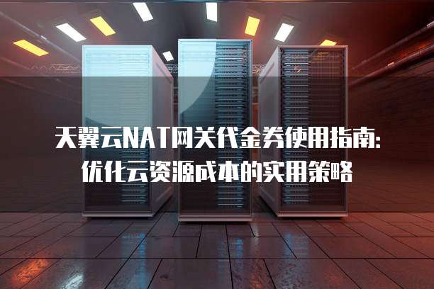 天翼云NAT网关代金券使用指南:优化云资源成本的实用策略