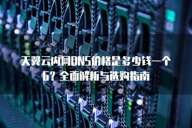 天翼云内网DNS价格是多少钱一个G?全面解析与选购指南