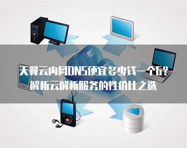天翼云内网DNS便宜多少钱一个G?解析云解析服务的性价比之选