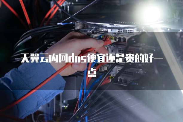 天翼云内网dns便宜还是贵的好一点