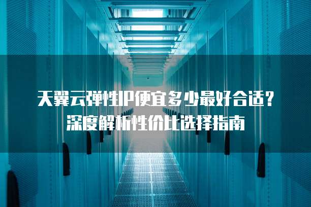 天翼云弹性IP便宜多少最好合适?深度解析性价比选择指南