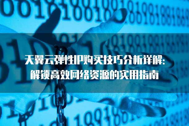 天翼云弹性IP购买技巧分析详解:解锁高效网络资源的实用指南