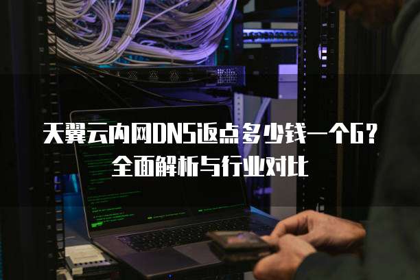天翼云内网DNS返点多少钱一个G?全面解析与行业对比
