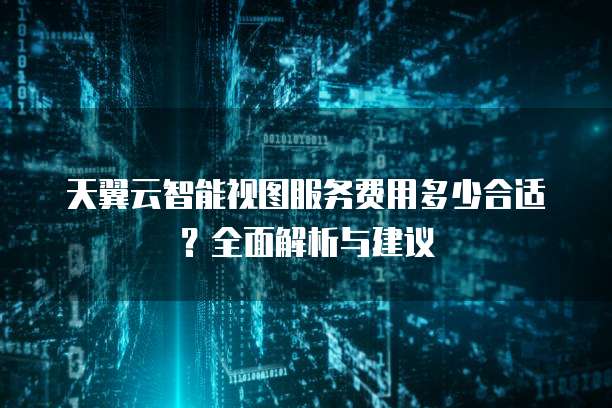 天翼云智能视图服务费用多少合适?全面解析与建议
