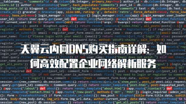 天翼云内网DNS购买指南详解:如何高效配置企业网络解析服务