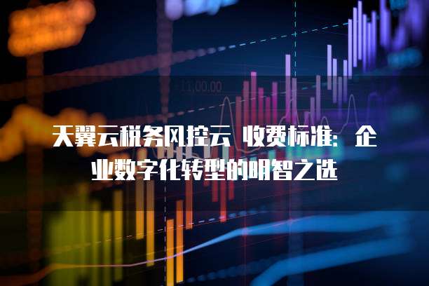 天翼云税务风控云 收费标准：企业数字化转型的明智之选