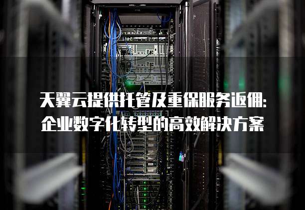天翼云提供托管及重保服务返佣:企业数字化转型的高效解决方案